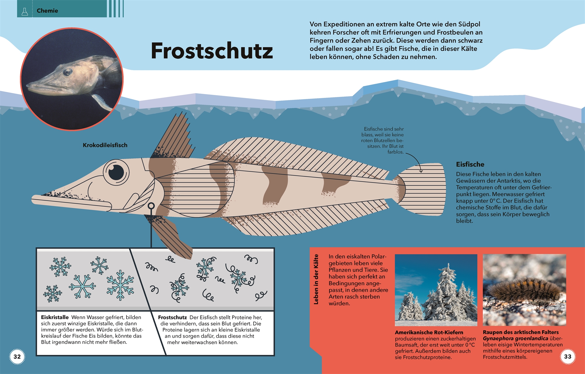 9783831042005_innenansicht_05 9783831042005_innenansicht_05.jpg