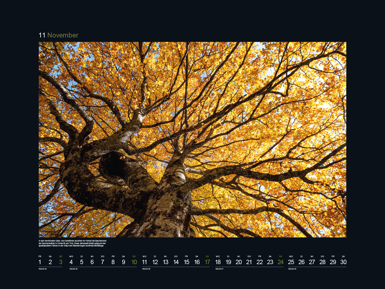 9783965912496_innenansicht_12 9783965912496_innenansicht_12.jpg