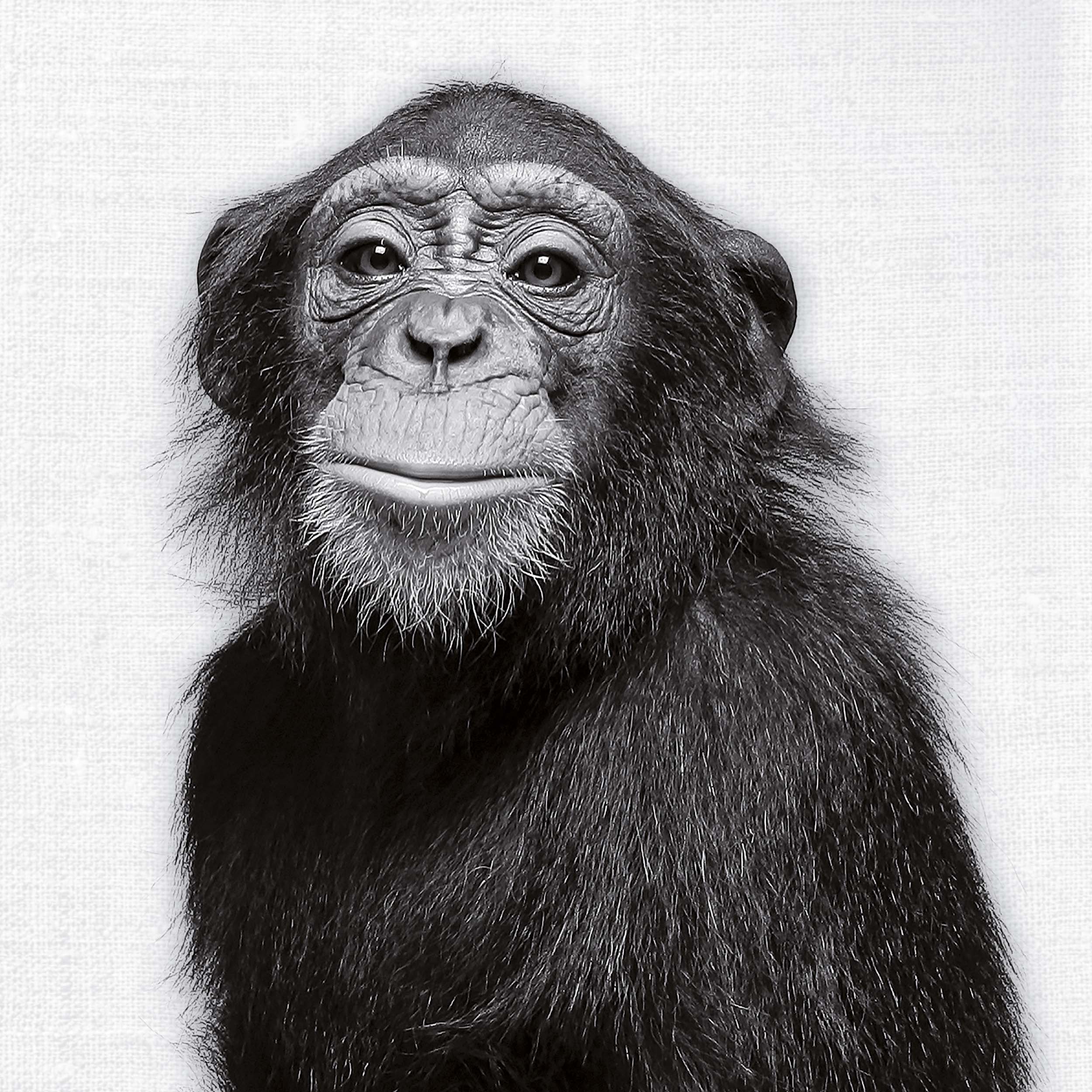 9783959295284_innenansicht_01 9783959295284_innenansicht_01.jpg