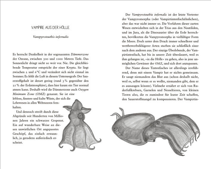 9783809441564_innenansicht_01 9783809441564_innenansicht_01.jpg