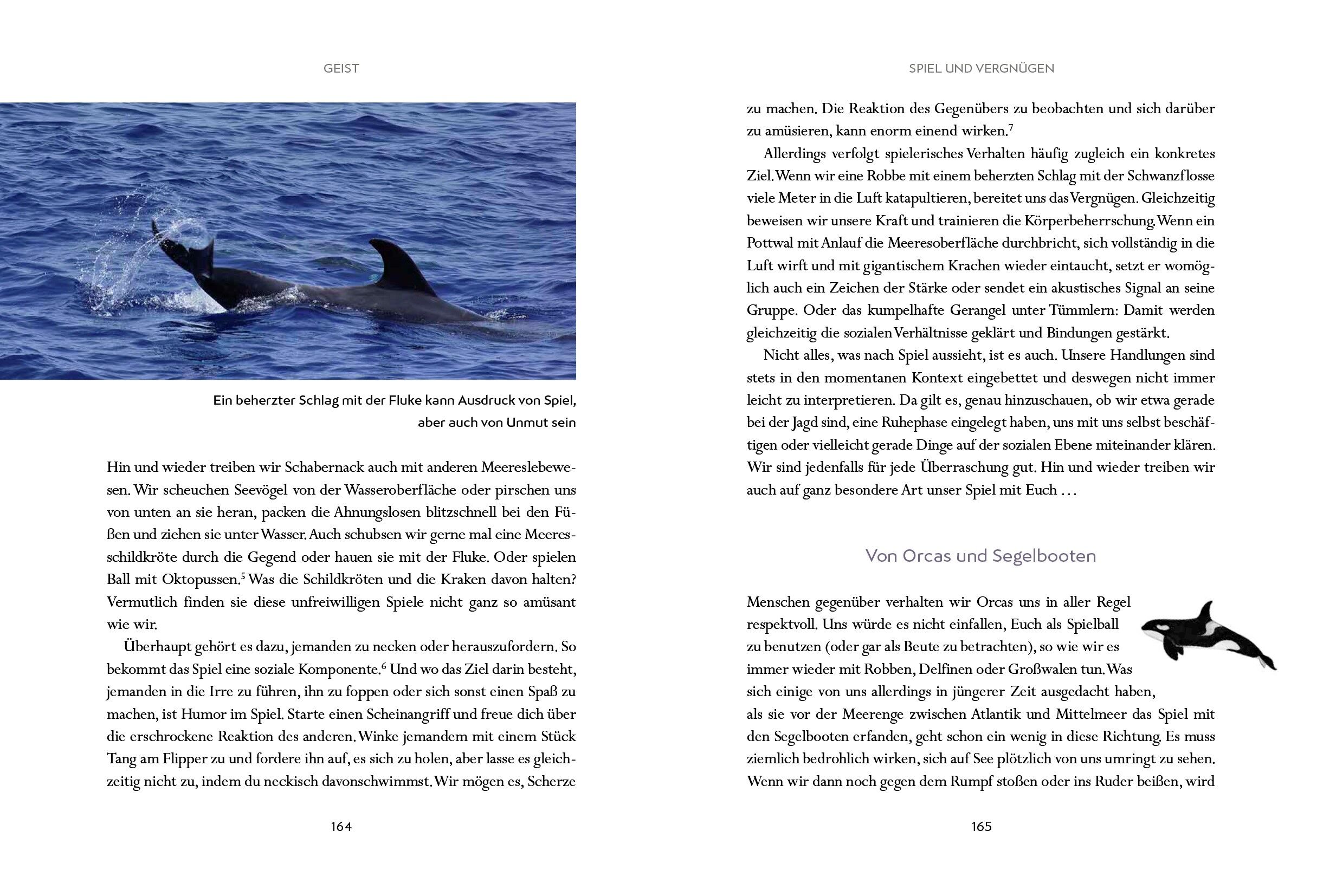 9783328602965_innenansicht_03 9783328602965_innenansicht_03.jpg