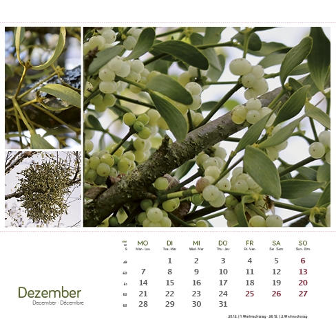 9783861925163_innenansicht_12 9783861925163_innenansicht_12.jpg