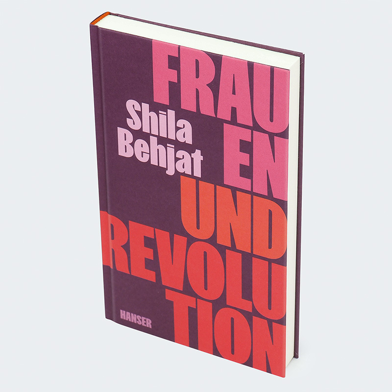 9783446281417_innenansicht_01.jpg