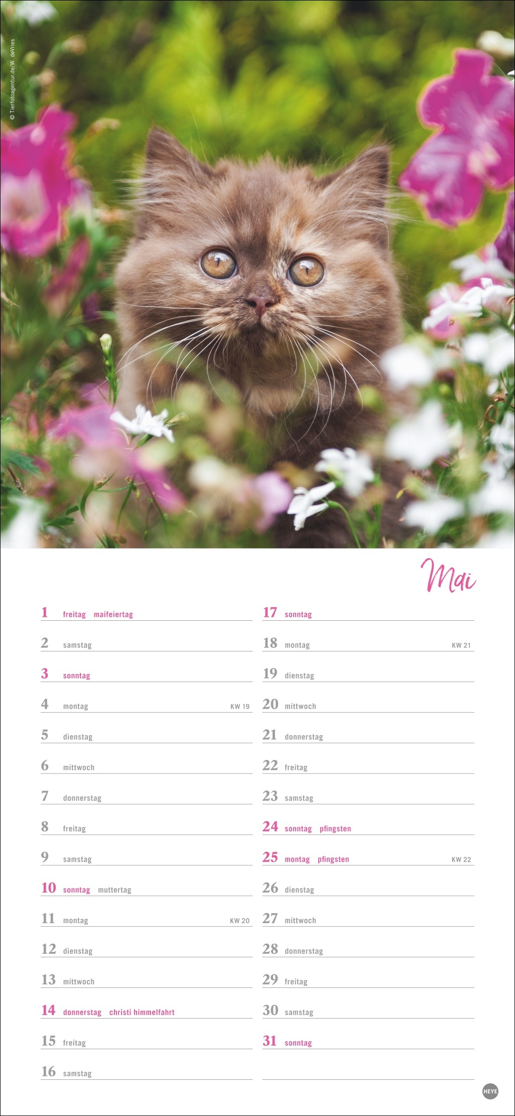 9783756409778_innenansicht_05 9783756409778_innenansicht_05.jpg