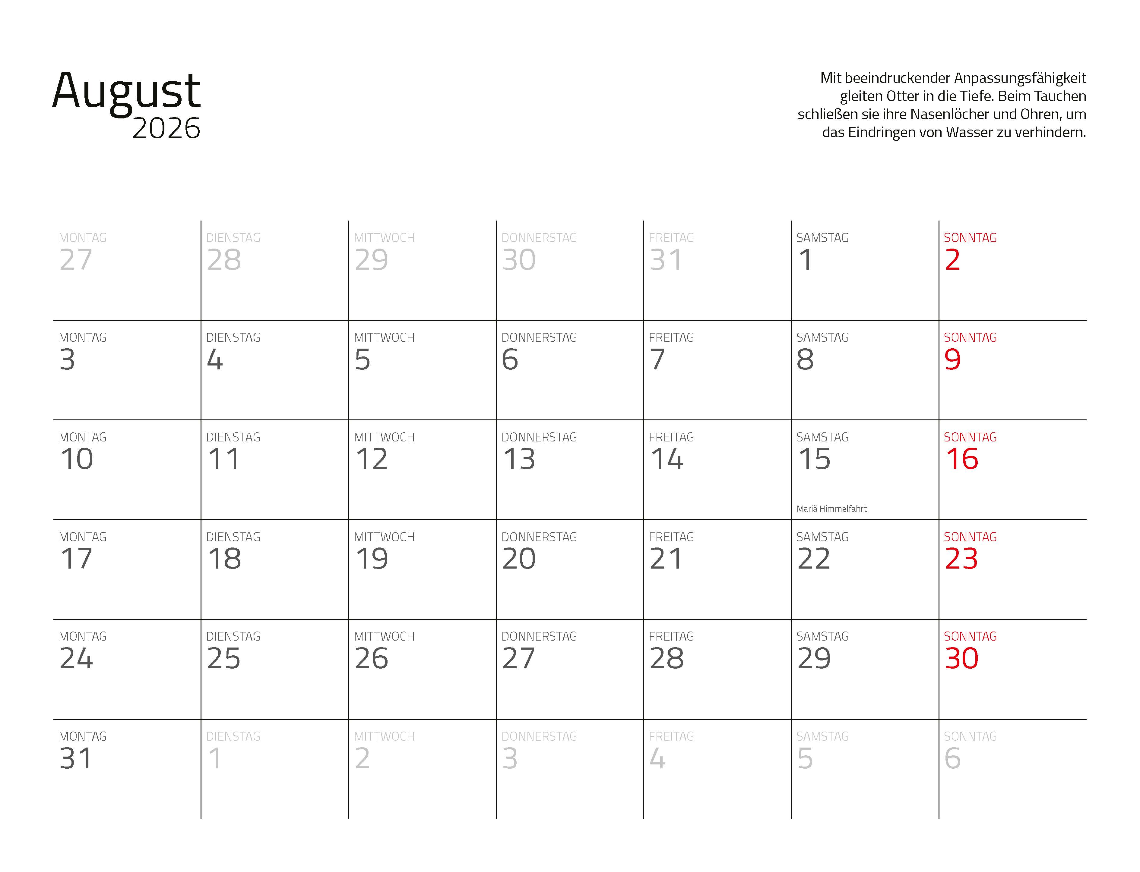 9783966649964_innenansicht_16 9783966649964_innenansicht_16.jpg