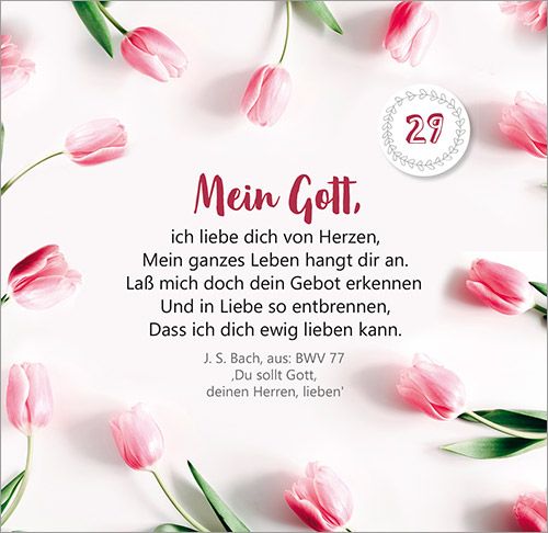 9783957347749_innenansicht_07.jpg