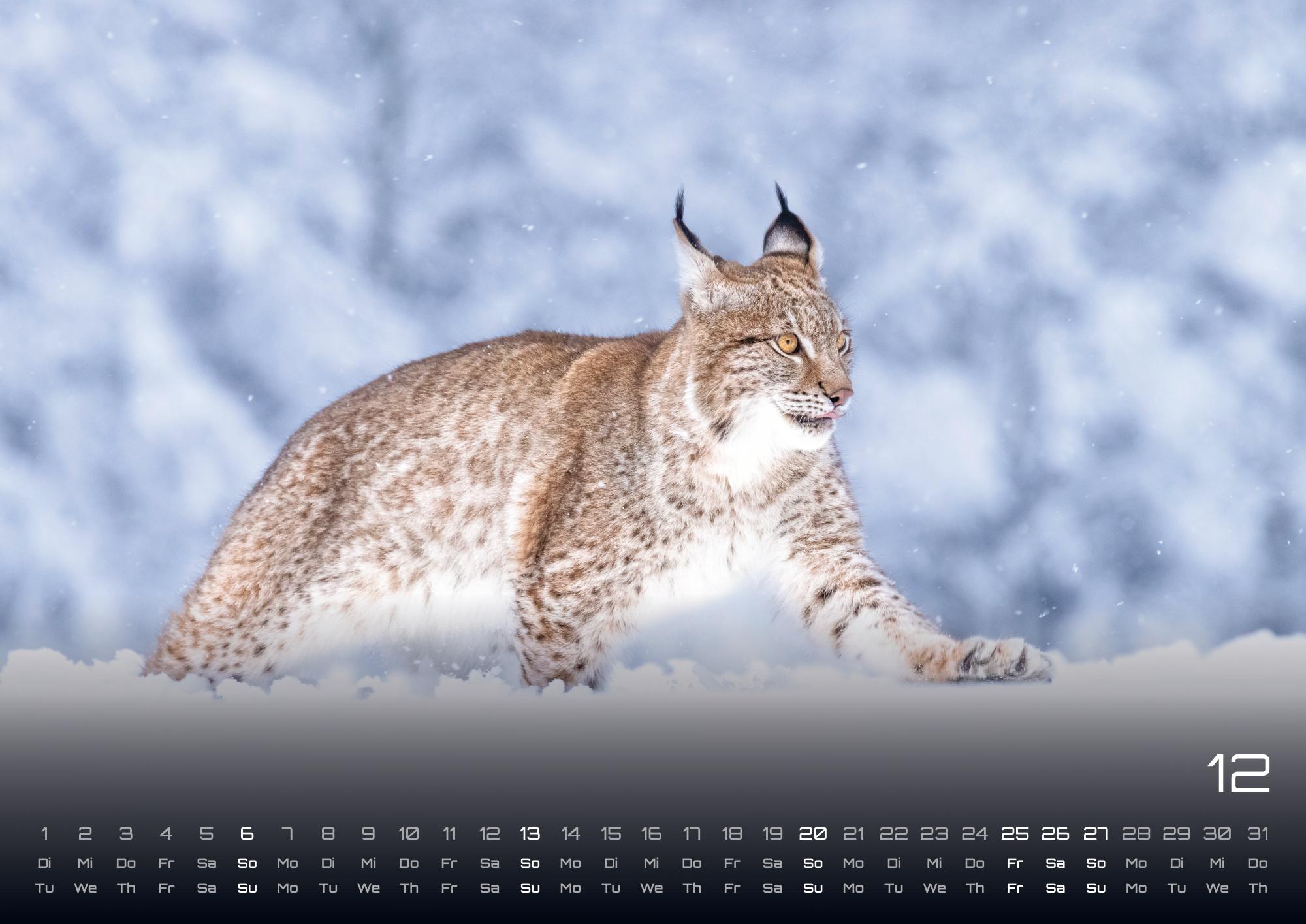 9783986736033_innenansicht_12 9783986736033_innenansicht_12.jpg