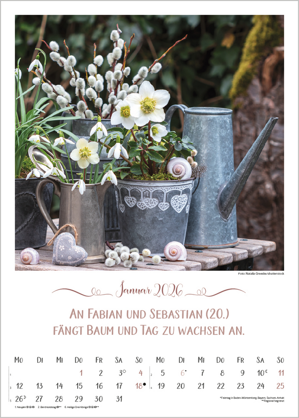 9783731886495_innenansicht_01.jpg