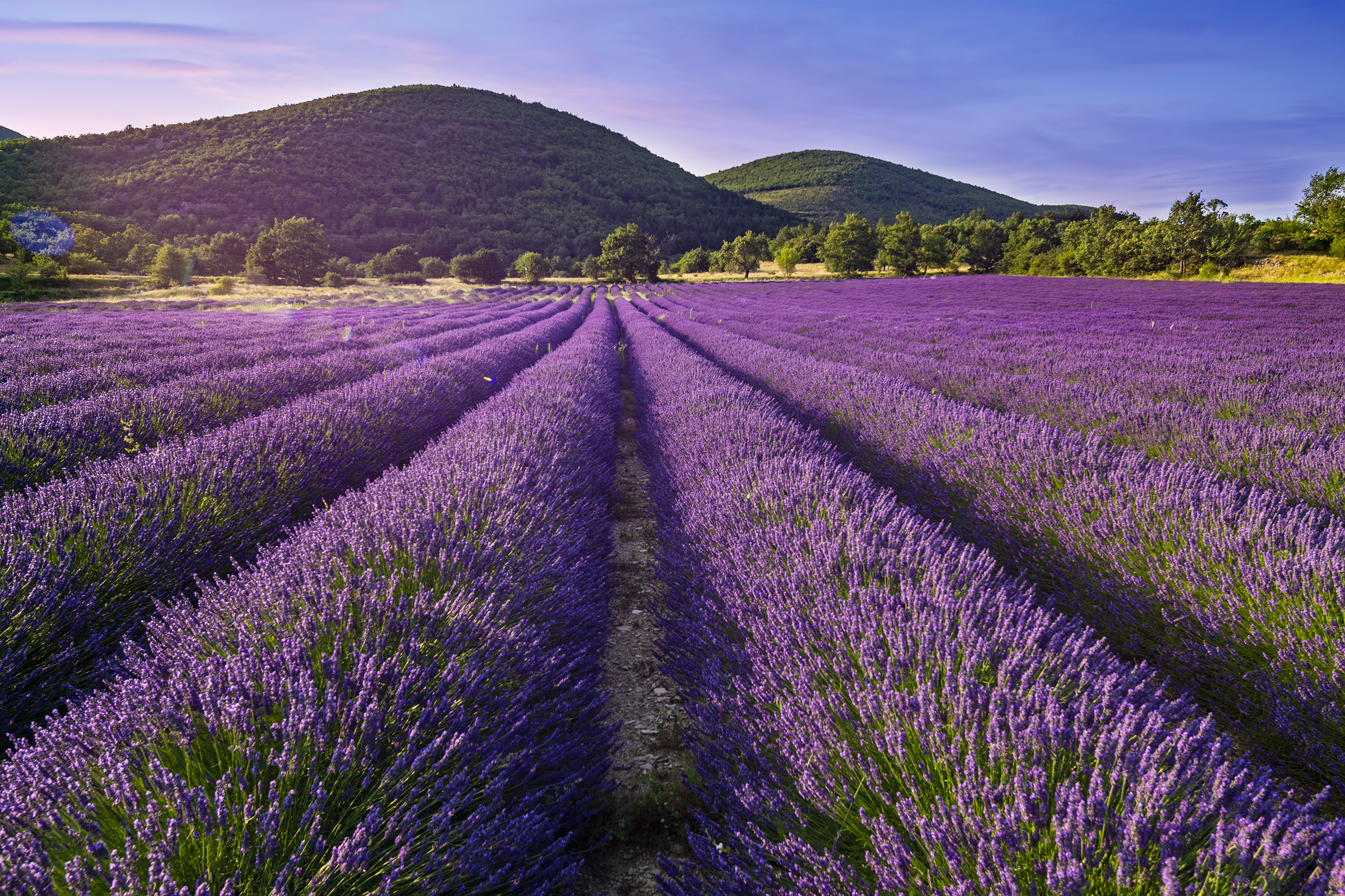 9783734331855_innenansicht_05 9783734331855_innenansicht_05.jpg