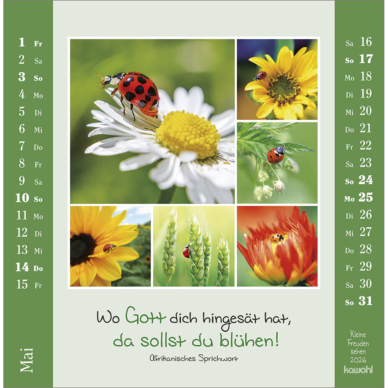 9783754817964_innenansicht_05.jpg