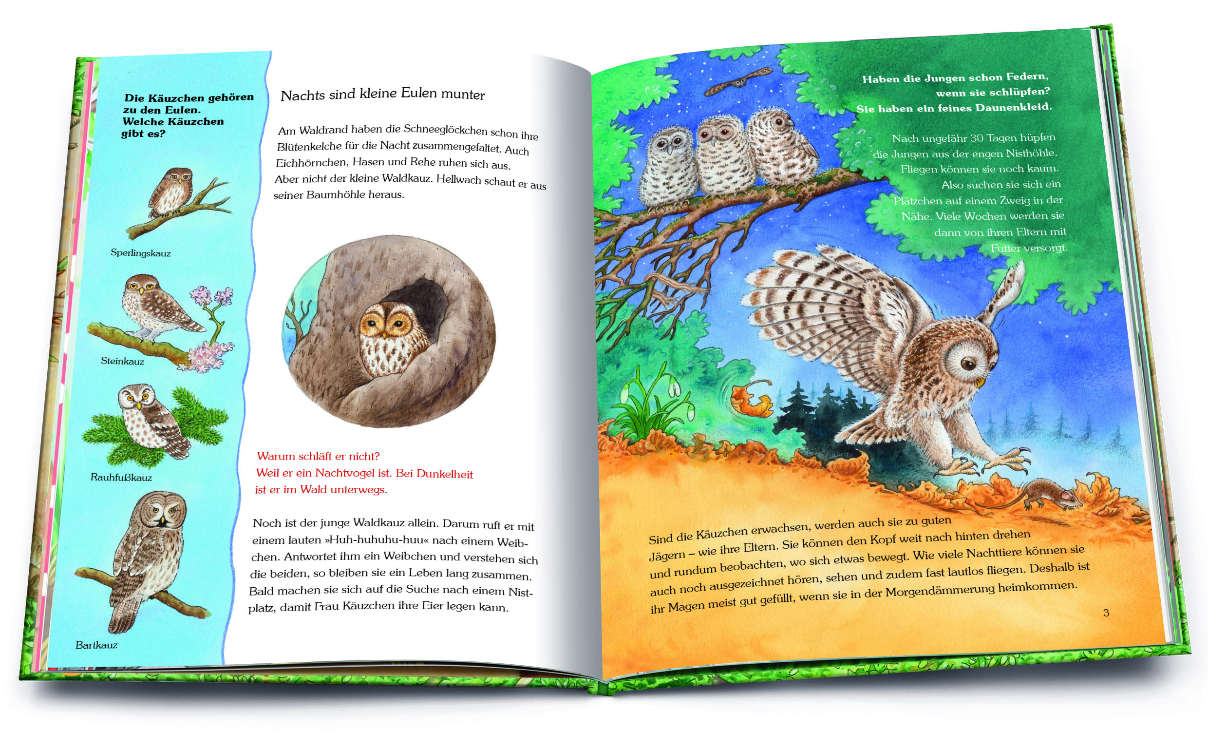 9783401718095_innenansicht_02 9783401718095_innenansicht_02.jpg