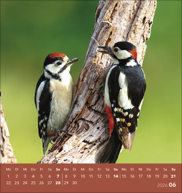 9783731890225_innenansicht_06 9783731890225_innenansicht_06.jpg