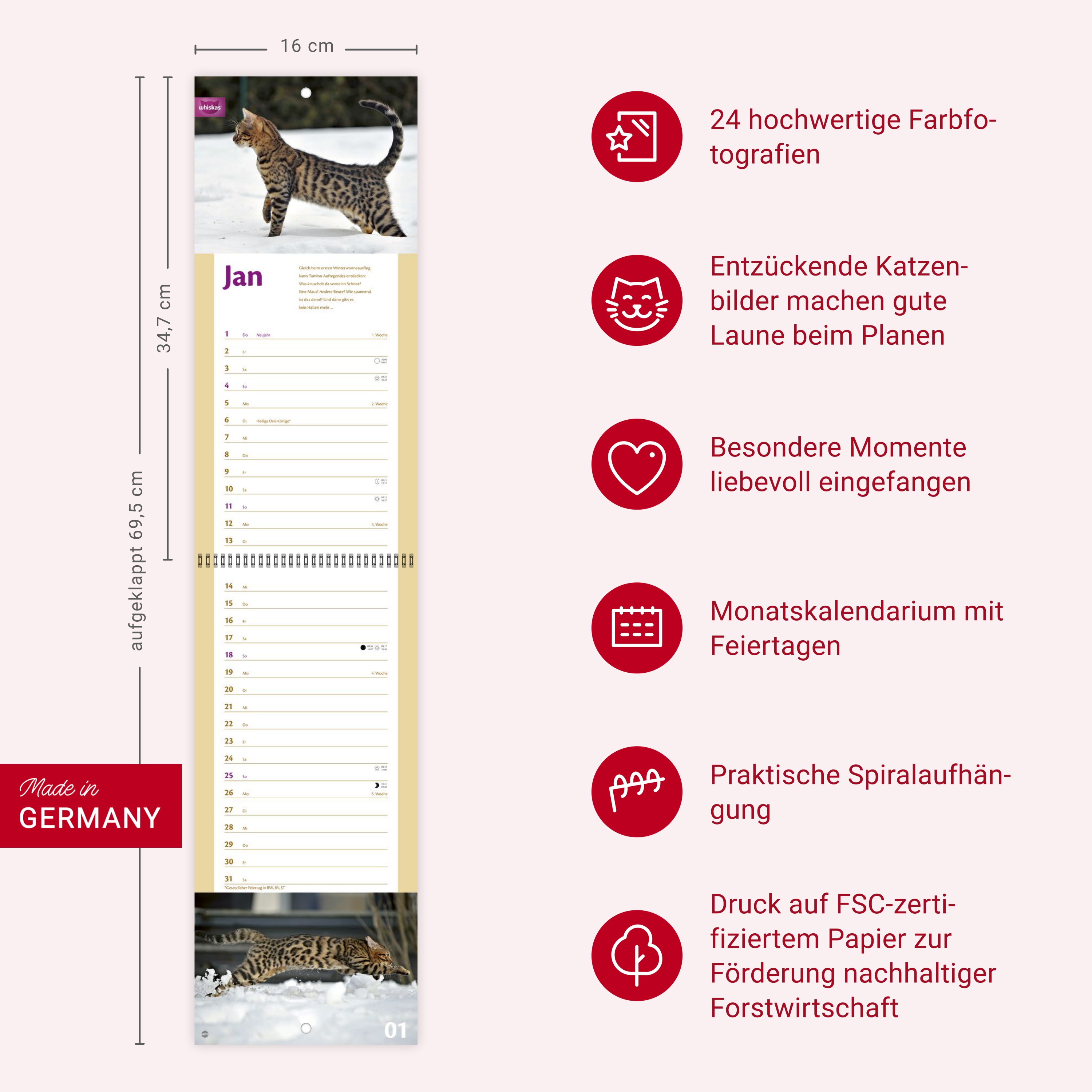 9783756409839_innenansicht_13.jpg