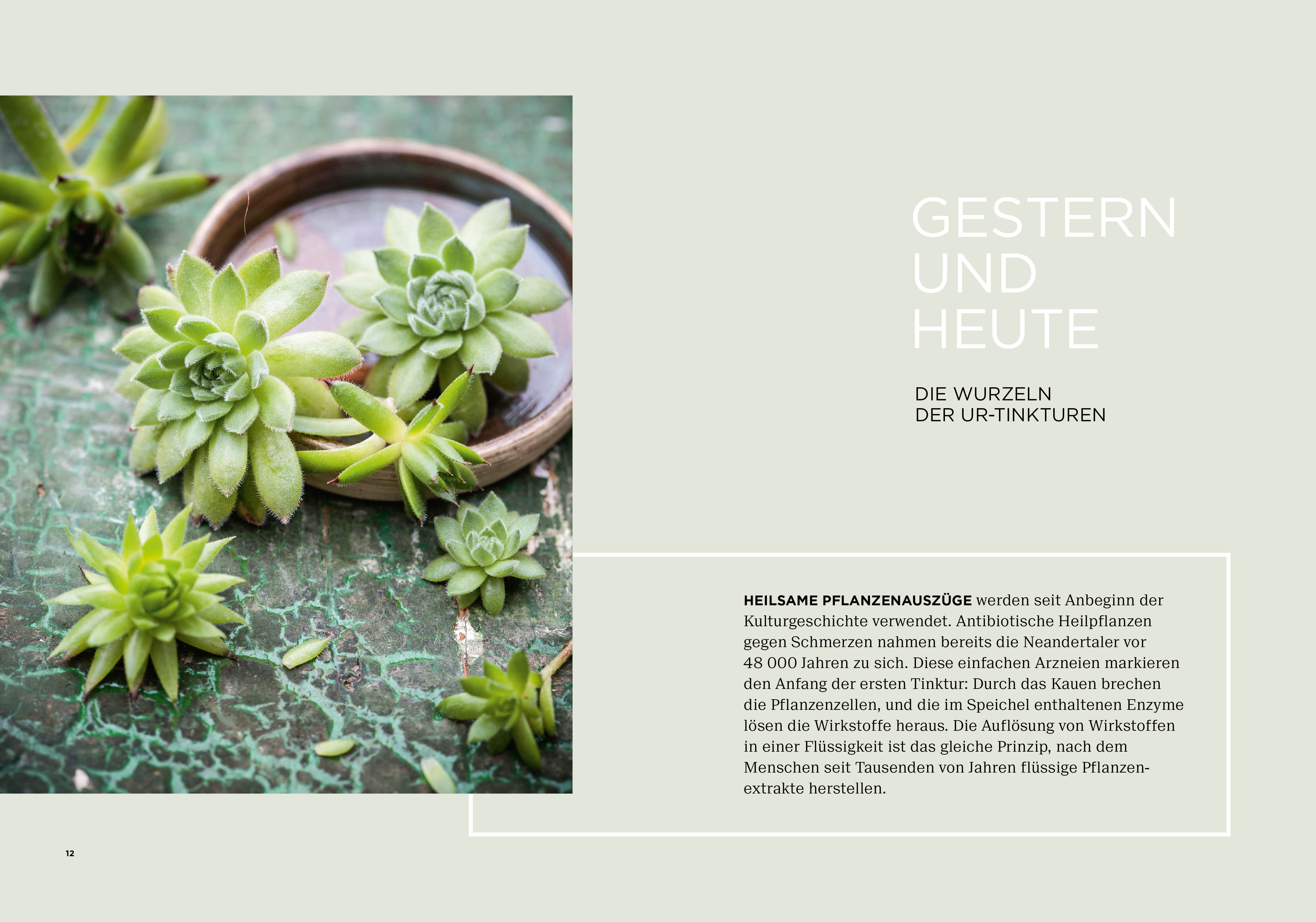 9783710401503_innenansicht_01 9783710401503_innenansicht_01.jpg