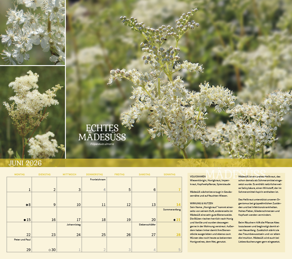 9783861925309_innenansicht_06 9783861925309_innenansicht_06.jpg