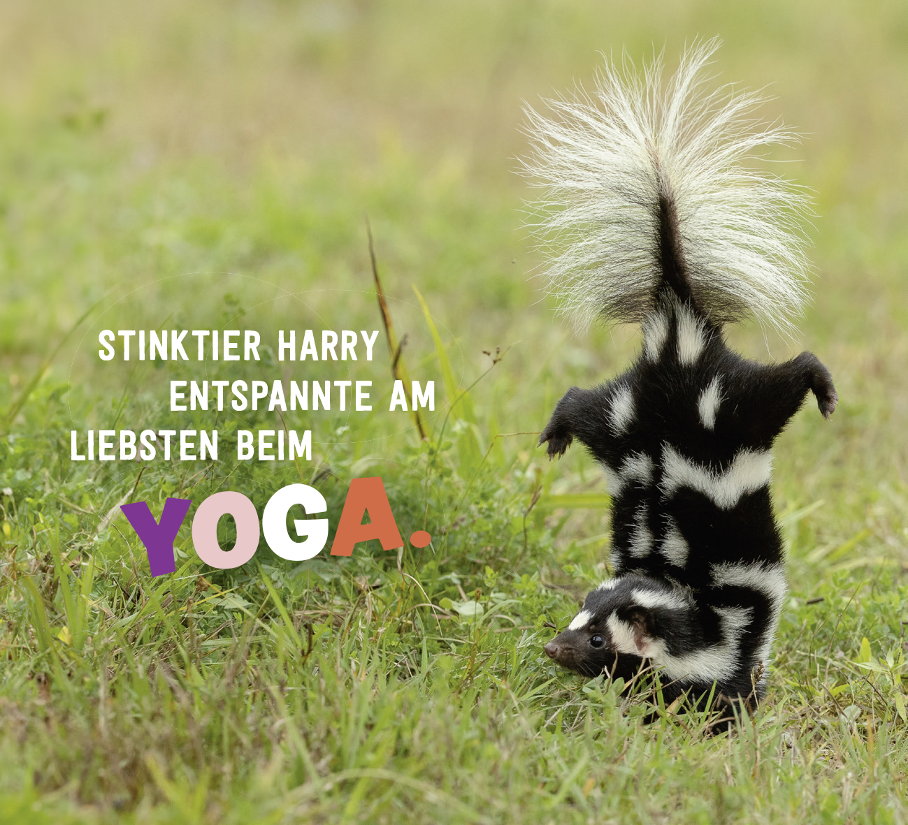 9783848502813_innenansicht_02 9783848502813_innenansicht_02.jpg