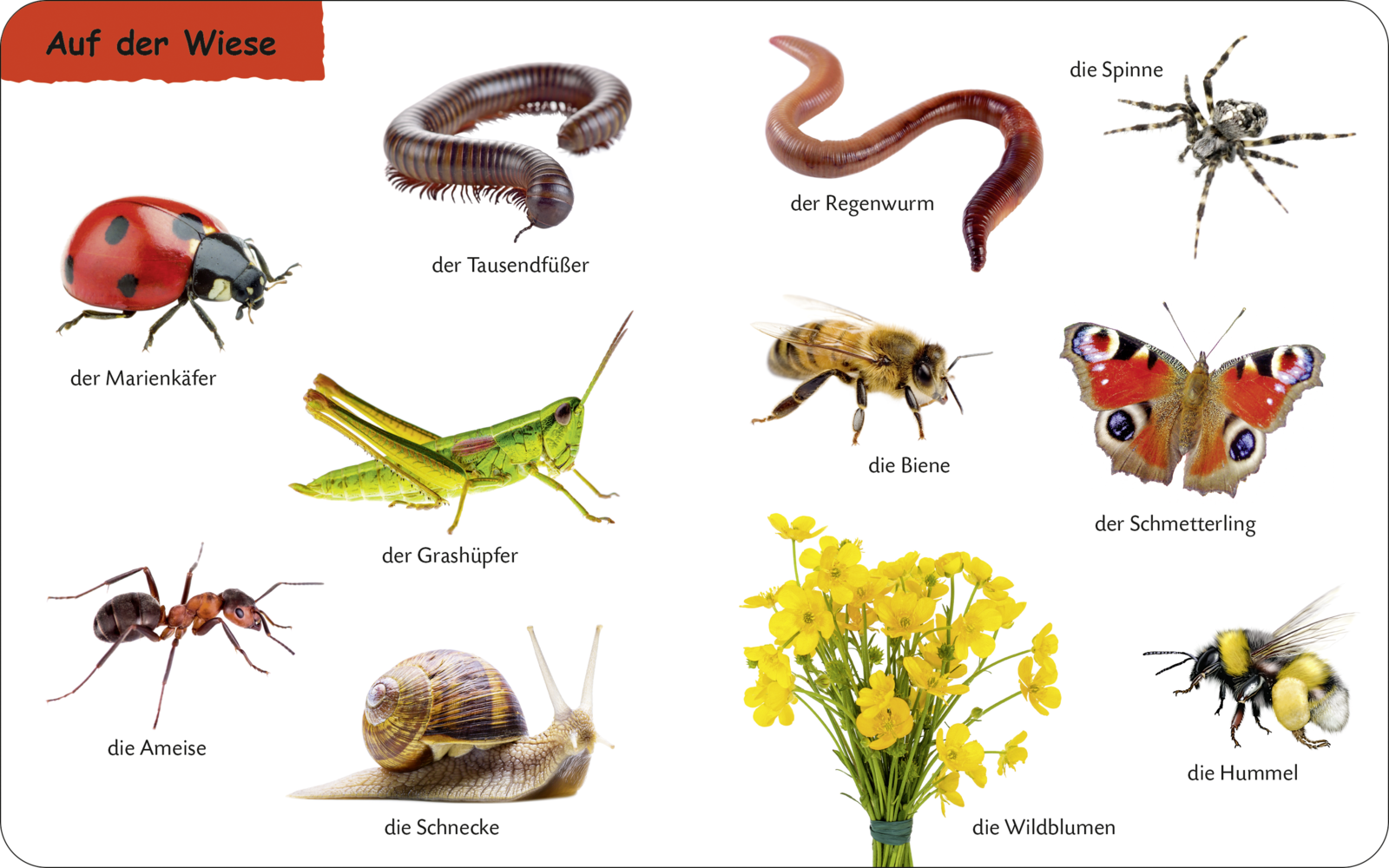 9783737336710_innenansicht_02 9783737336710_innenansicht_02.png