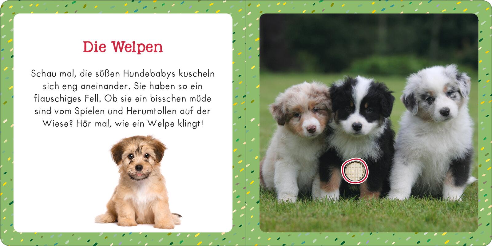 9783845855356_innenansicht_01.jpg
