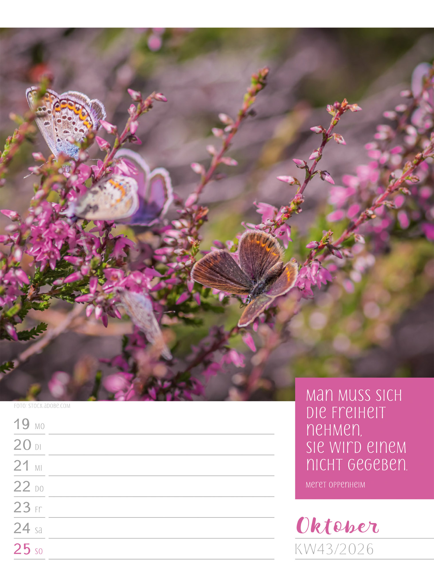 9783838426938_innenansicht_46.jpg