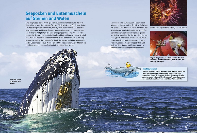 9783866595040_innenansicht_03 9783866595040_innenansicht_03.jpg