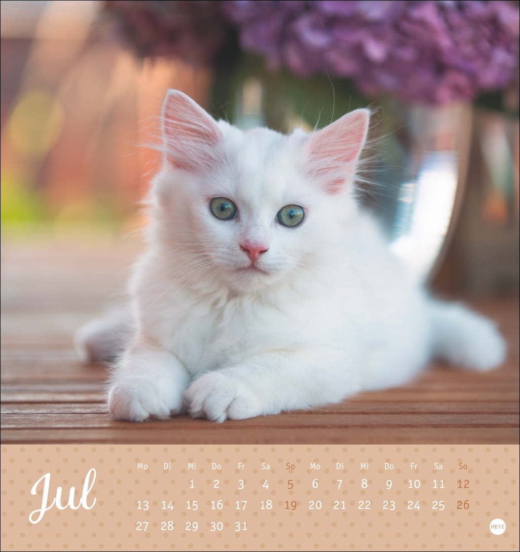 9783756410460_innenansicht_07 9783756410460_innenansicht_07.jpg