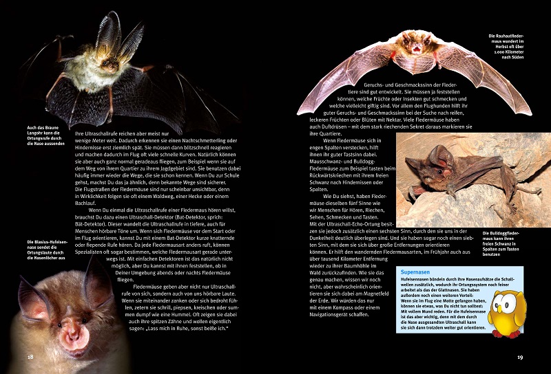 9783866595026_innenansicht_03 9783866595026_innenansicht_03.jpg