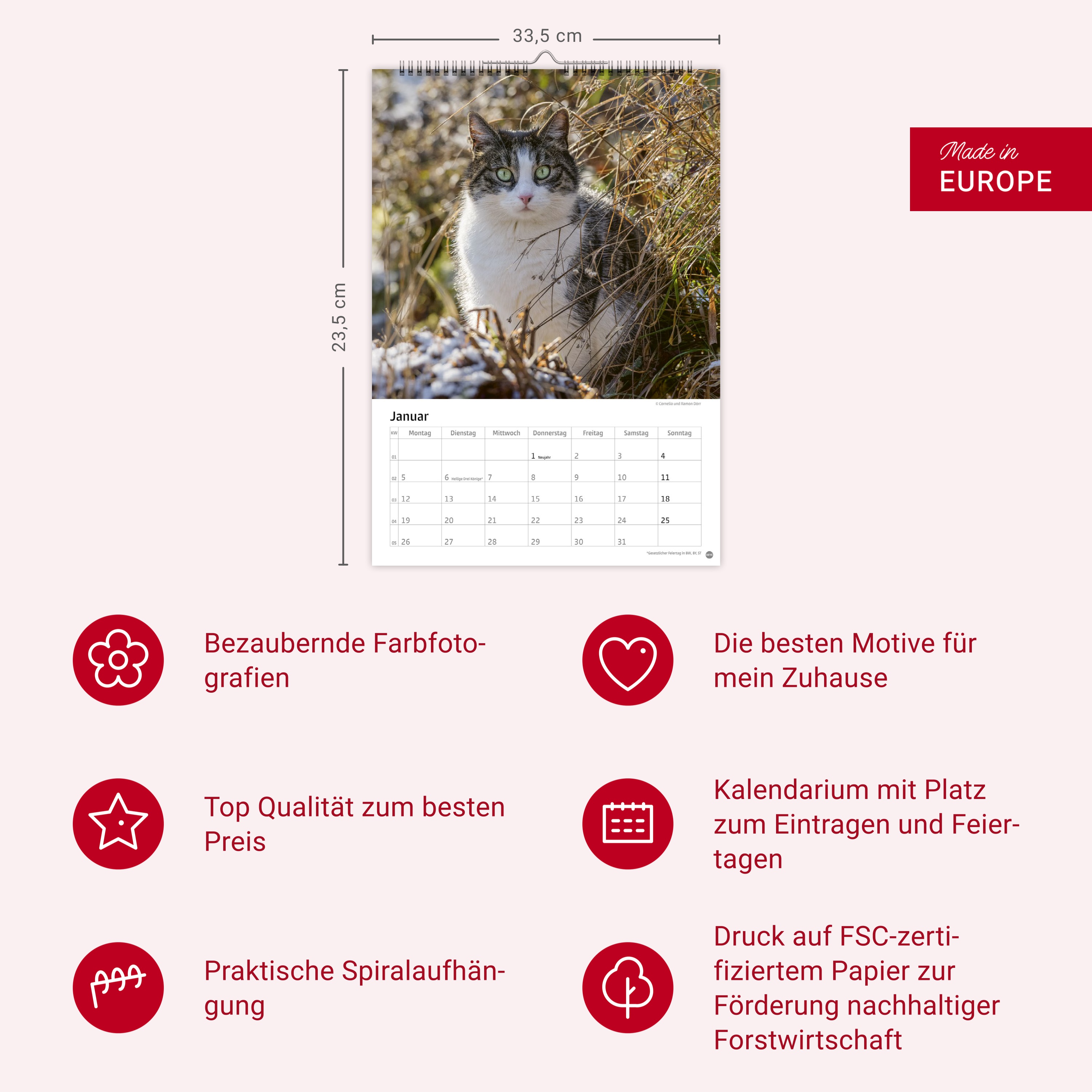 9783756411139_innenansicht_13 9783756411139_innenansicht_13.jpg