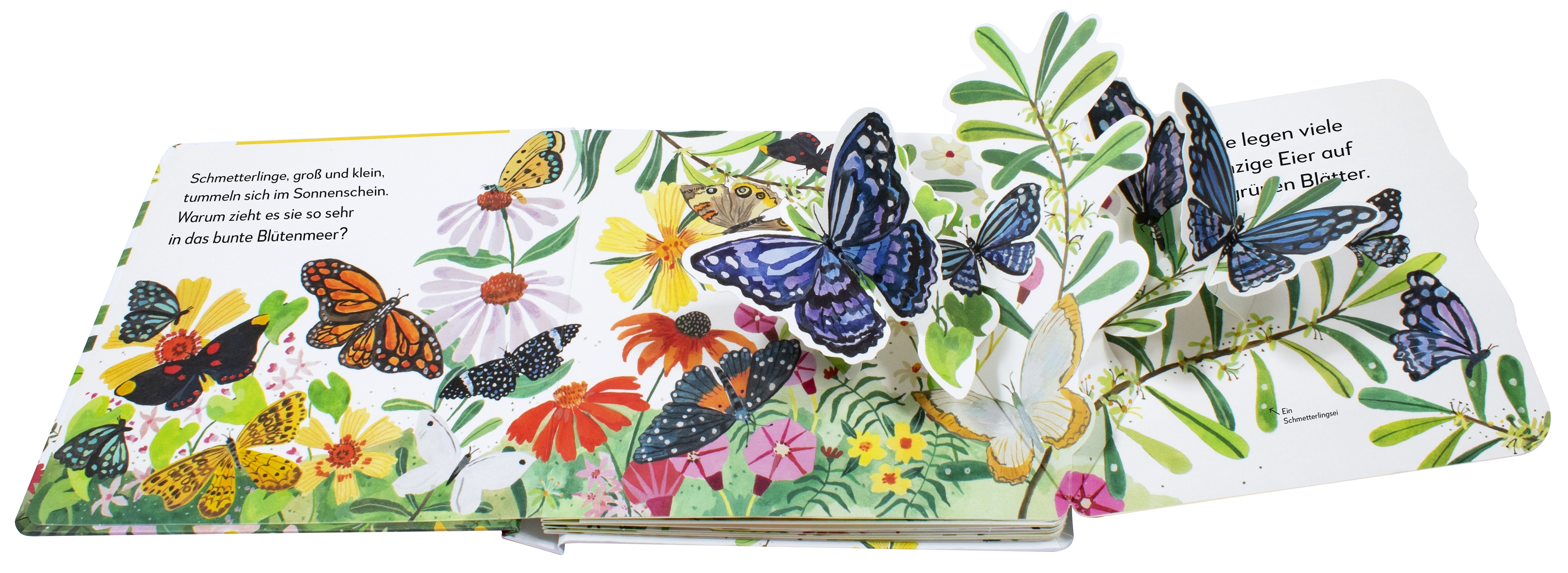 9783831046621_innenansicht_01 9783831046621_innenansicht_01.jpg