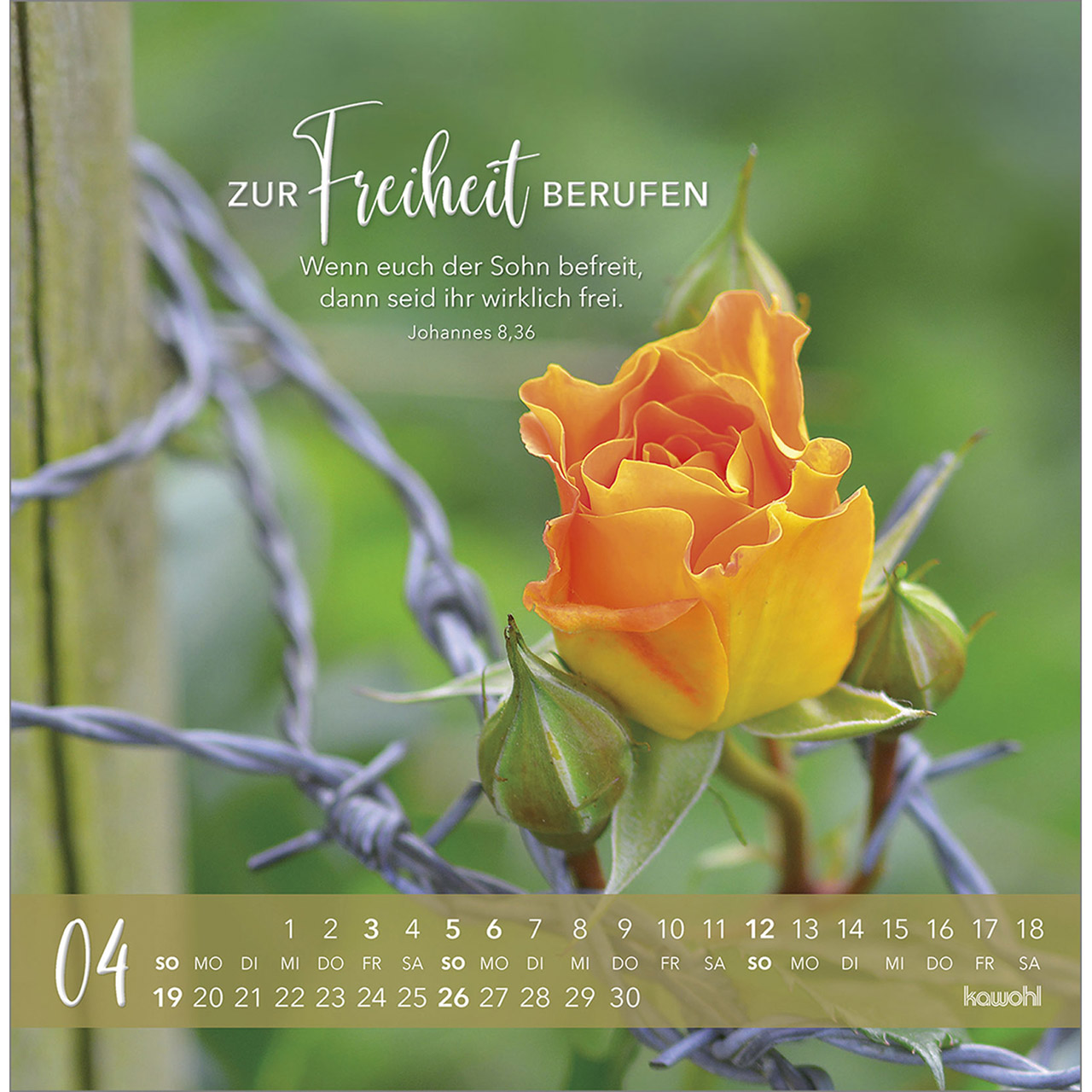 9783754817766_innenansicht_04.jpg