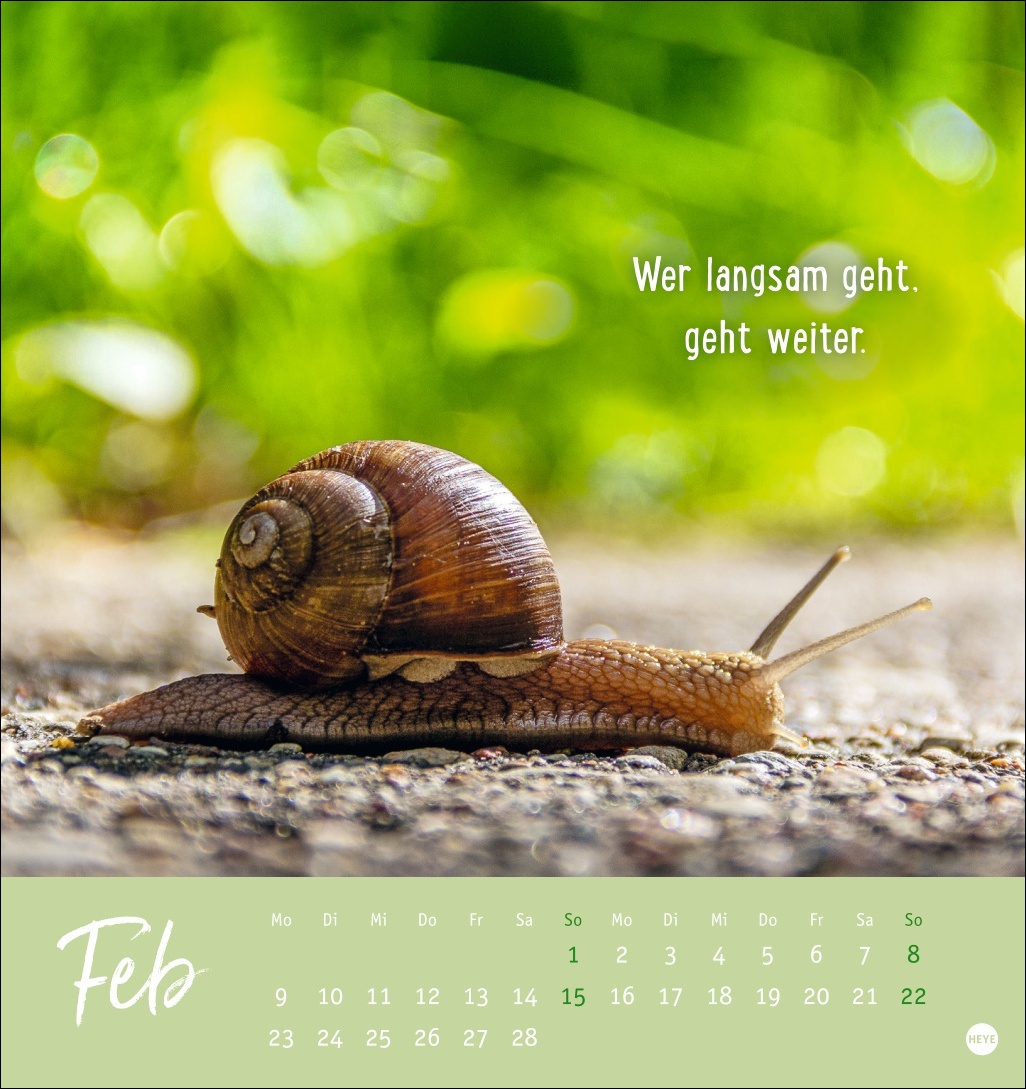 9783756411948_innenansicht_02.jpg
