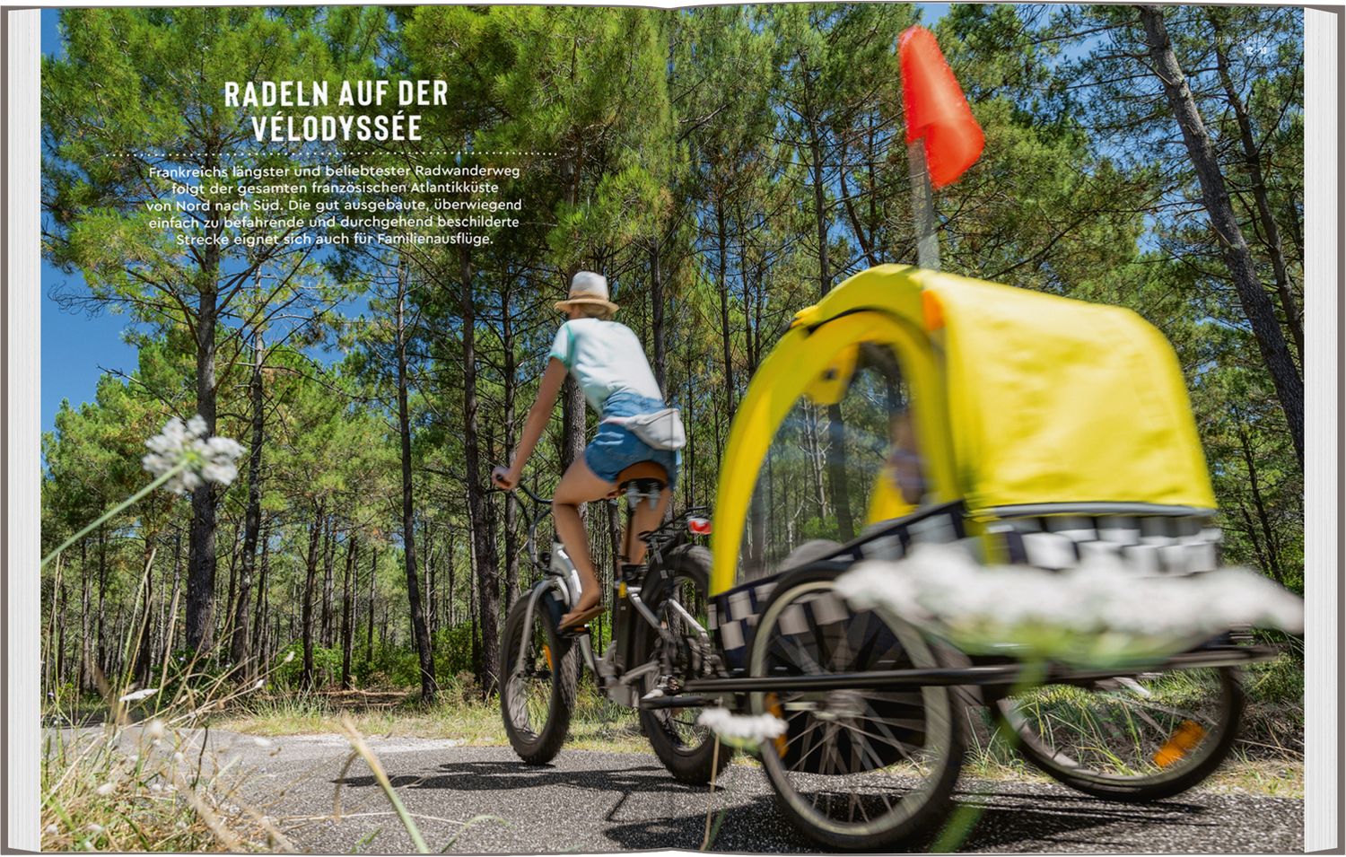 9783616021553_innenansicht_04 9783616021553_innenansicht_04.jpg