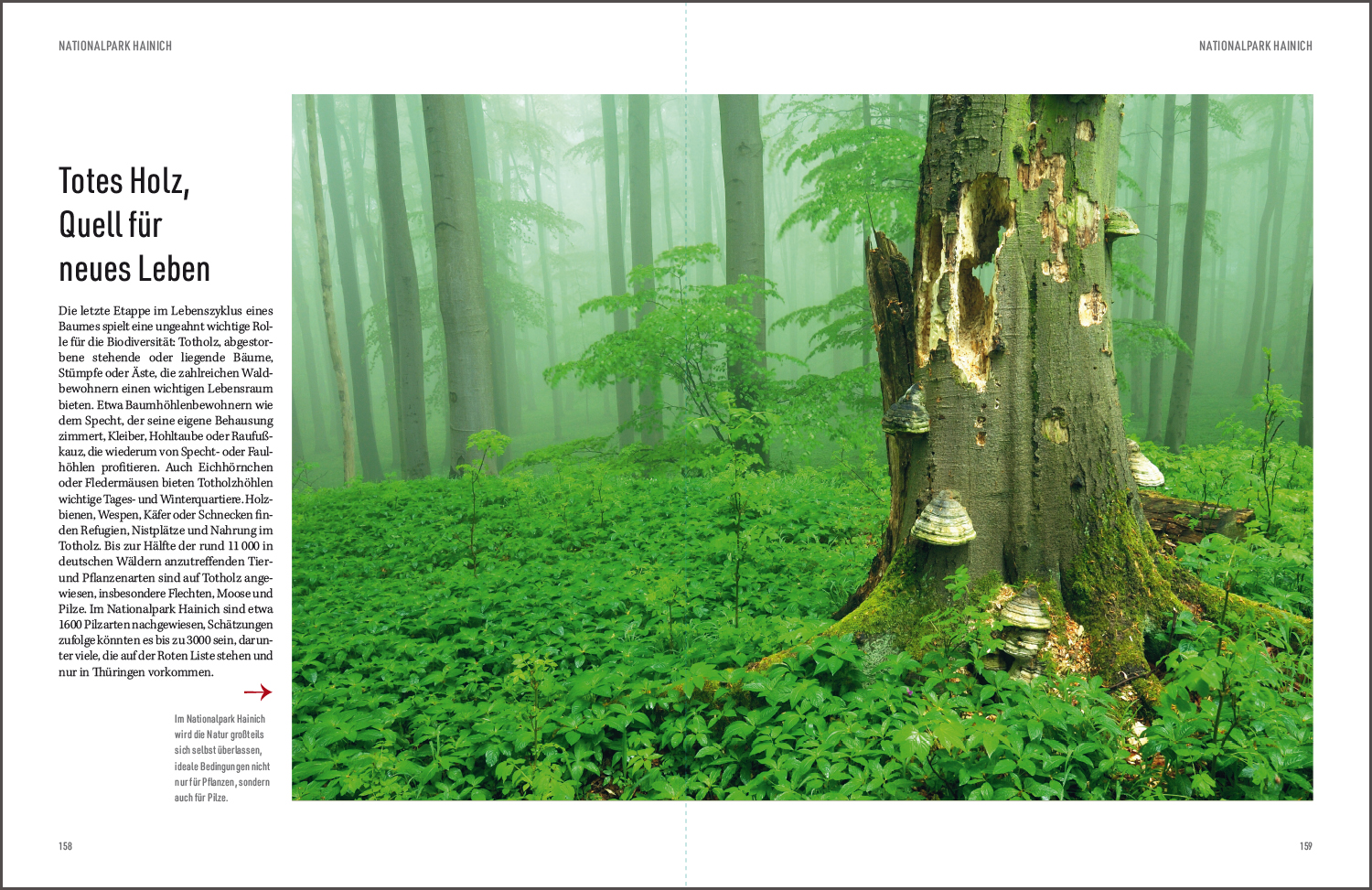 9783969651001_innenansicht_10 9783969651001_innenansicht_10.jpg