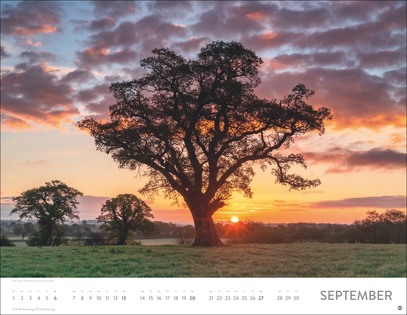 9783756413942_innenansicht_09 9783756413942_innenansicht_09.jpg