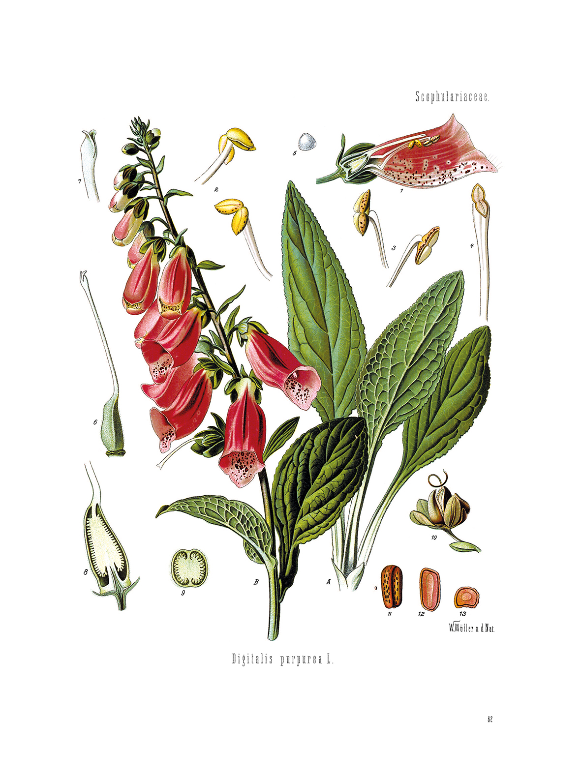 9783968491158_innenansicht_01 9783968491158_innenansicht_01.jpg