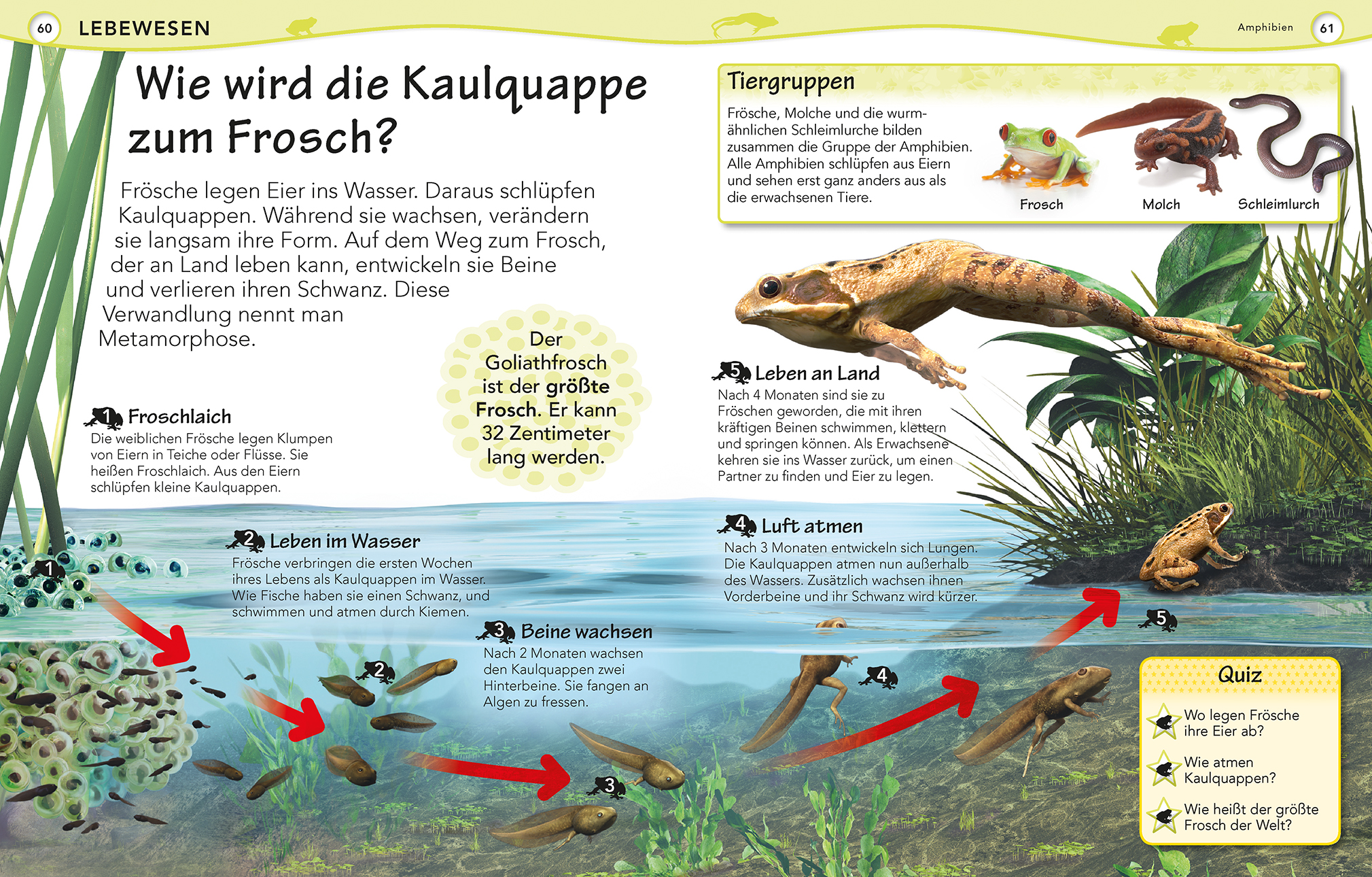 9783831028092_innenansicht_05 9783831028092_innenansicht_05.jpg