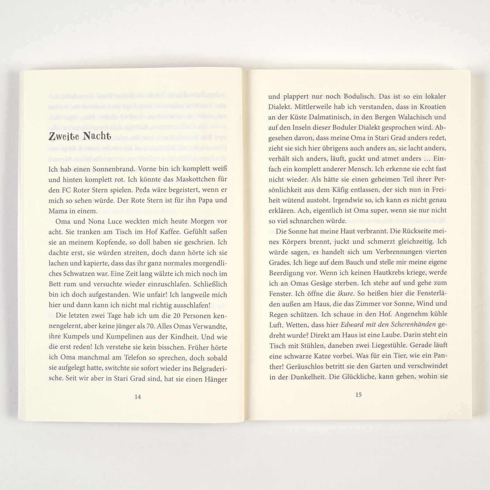 9783407813800_innenansicht_01 9783407813800_innenansicht_01.jpg