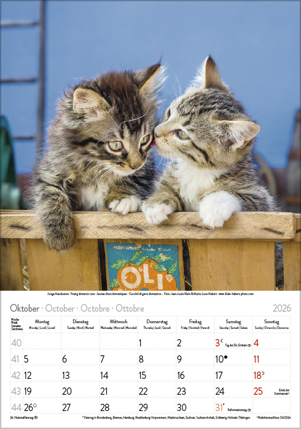 9783731883609_innenansicht_10 9783731883609_innenansicht_10.jpg