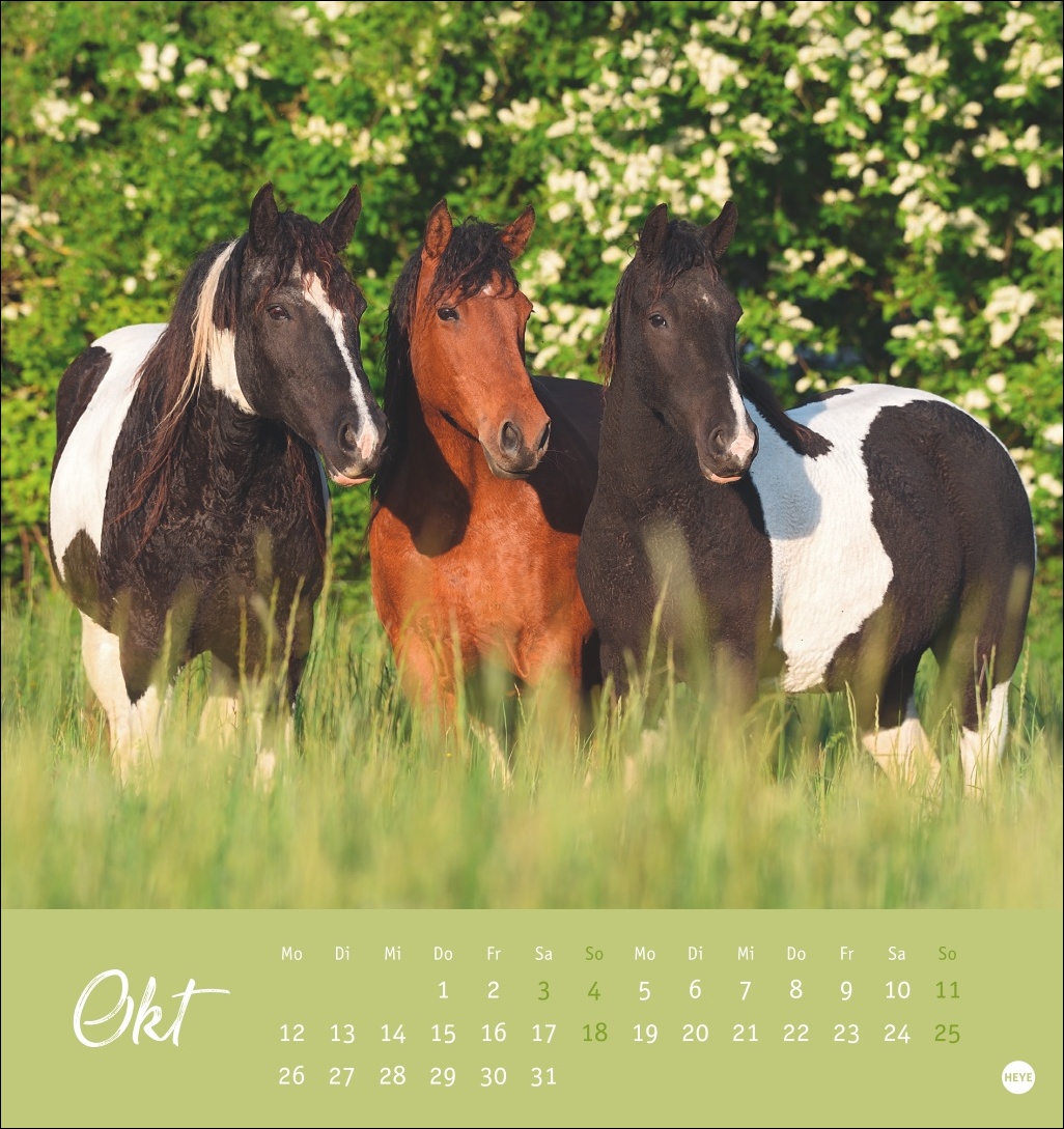 9783756410477_innenansicht_10 9783756410477_innenansicht_10.jpg