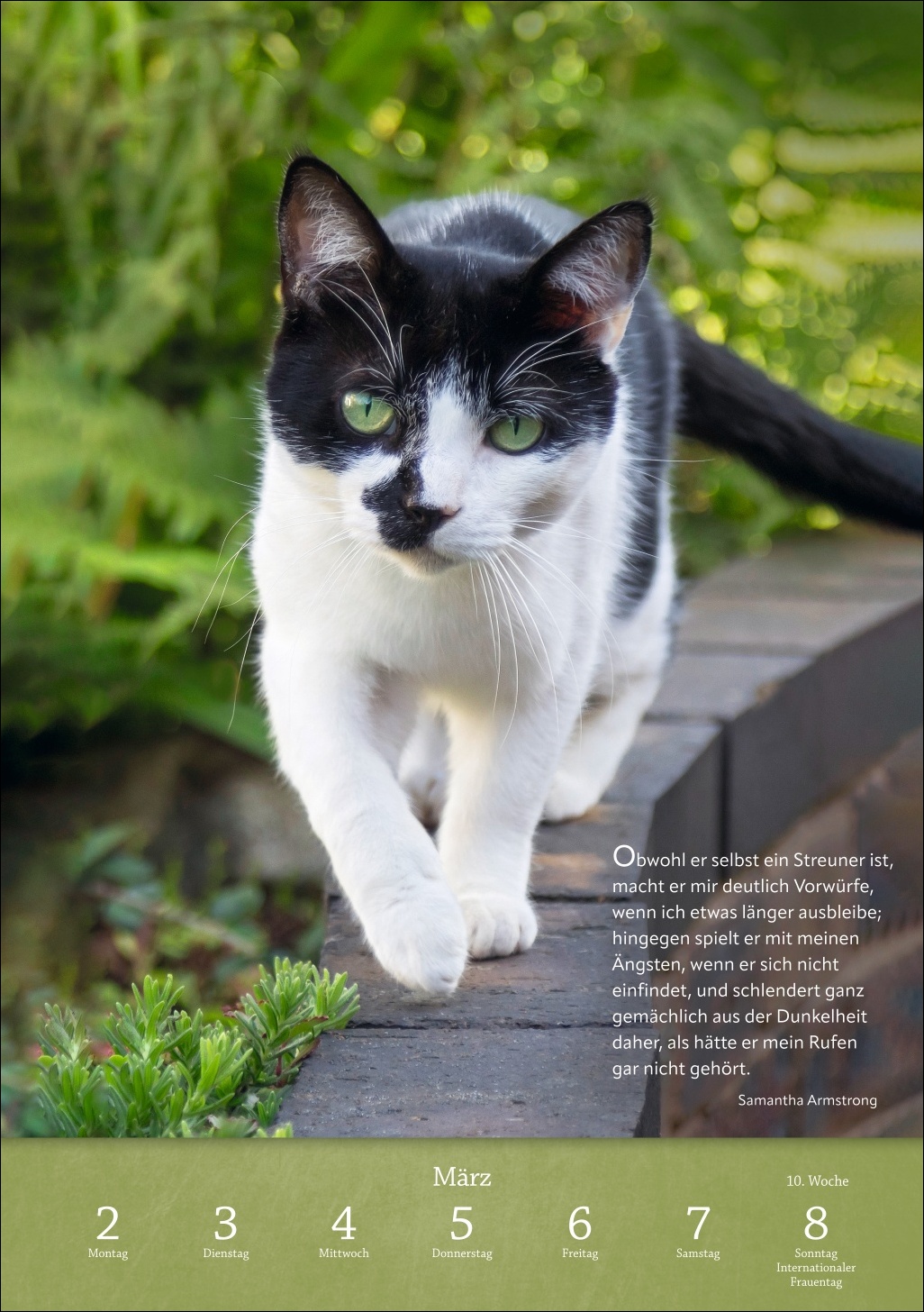 9783840036507_innenansicht_07 9783840036507_innenansicht_07.jpg