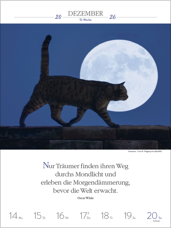 9783731884354_innenansicht_12.jpg