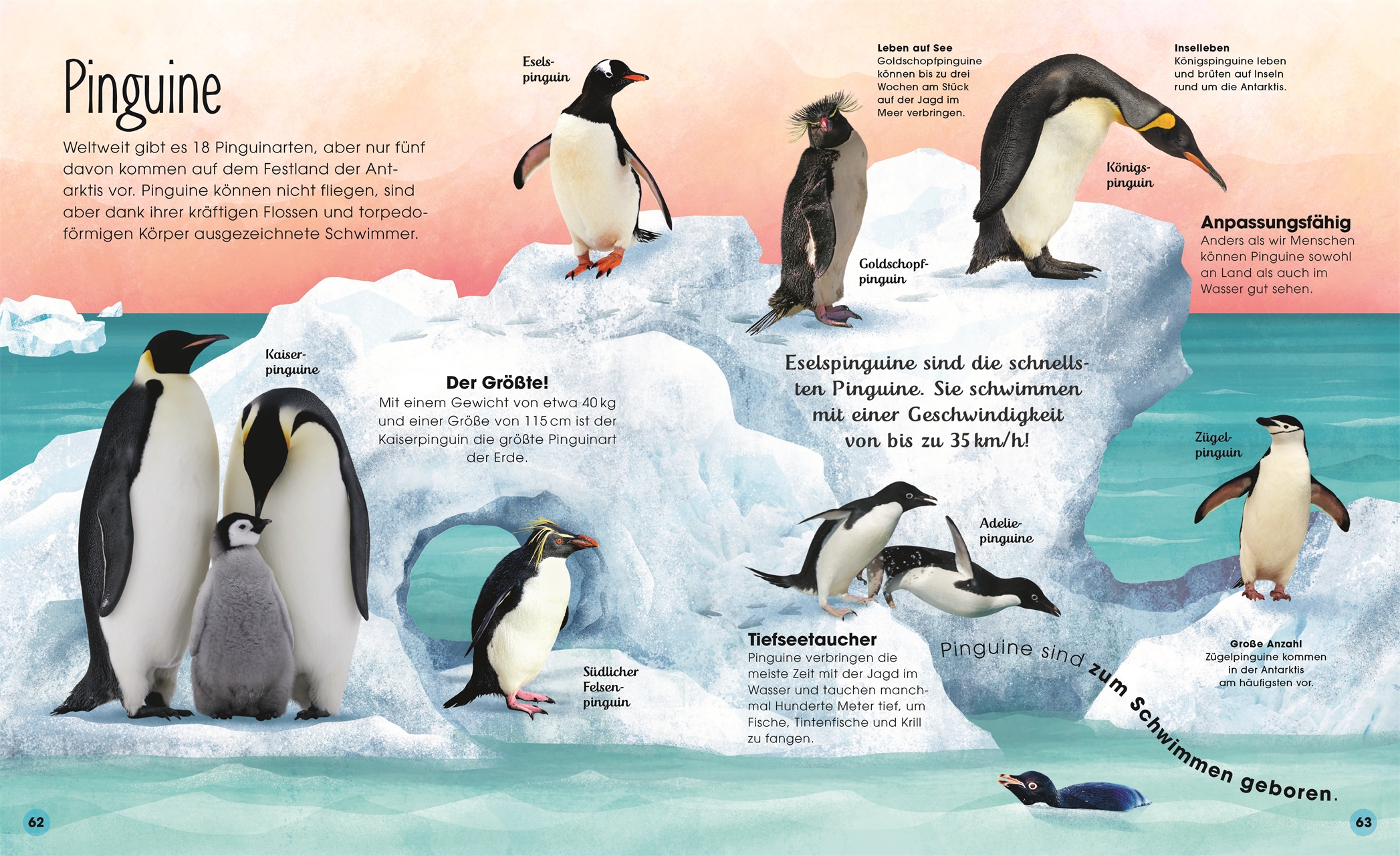 9783831047536_innenansicht_06 9783831047536_innenansicht_06.jpg