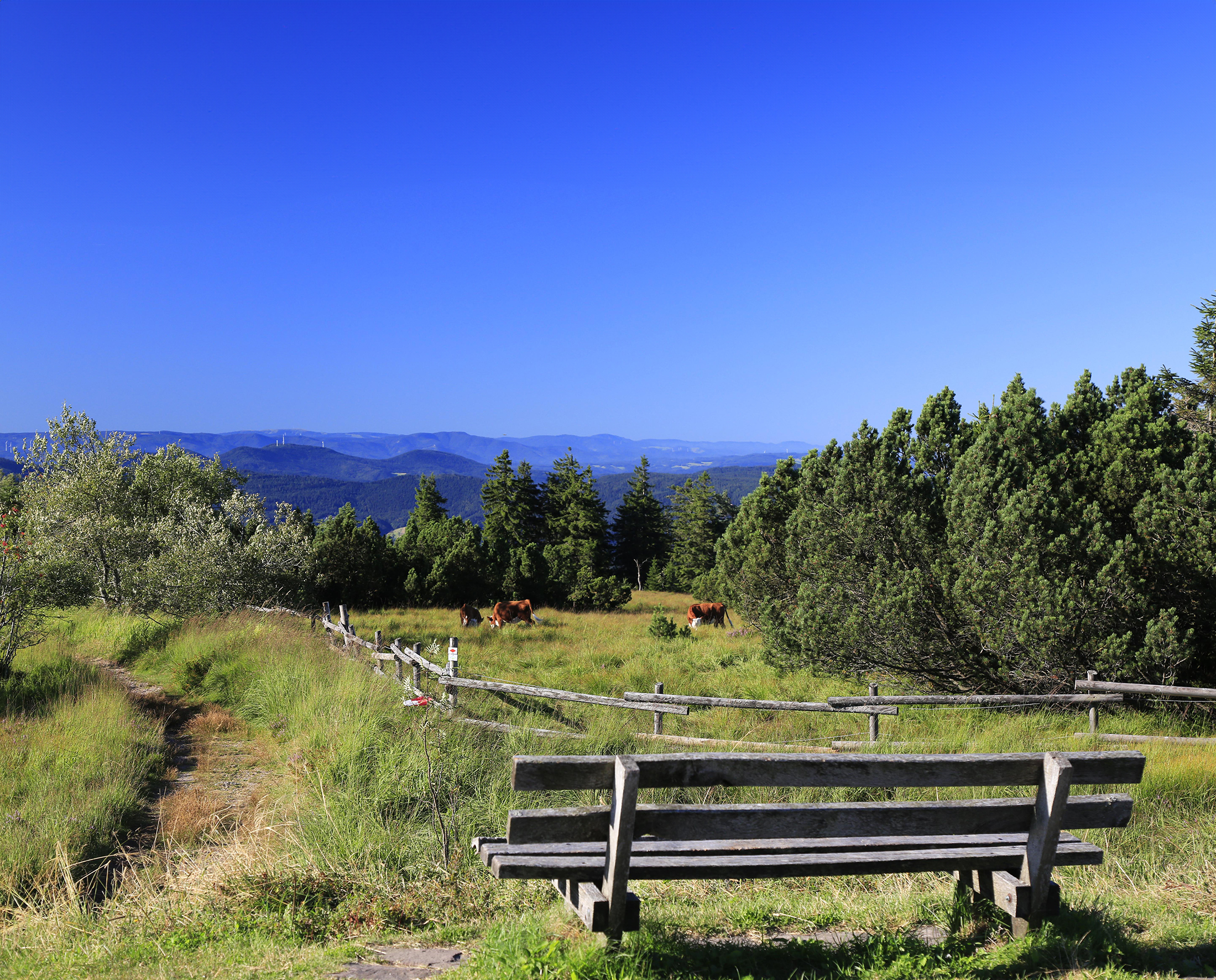 9783862468805_innenansicht_10 9783862468805_innenansicht_10.jpg