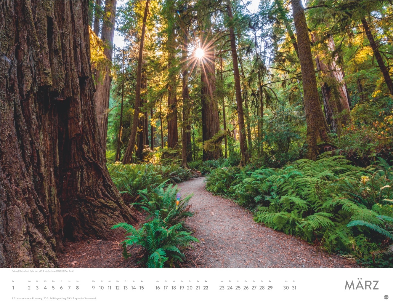 9783756410576_innenansicht_03 9783756410576_innenansicht_03.jpg