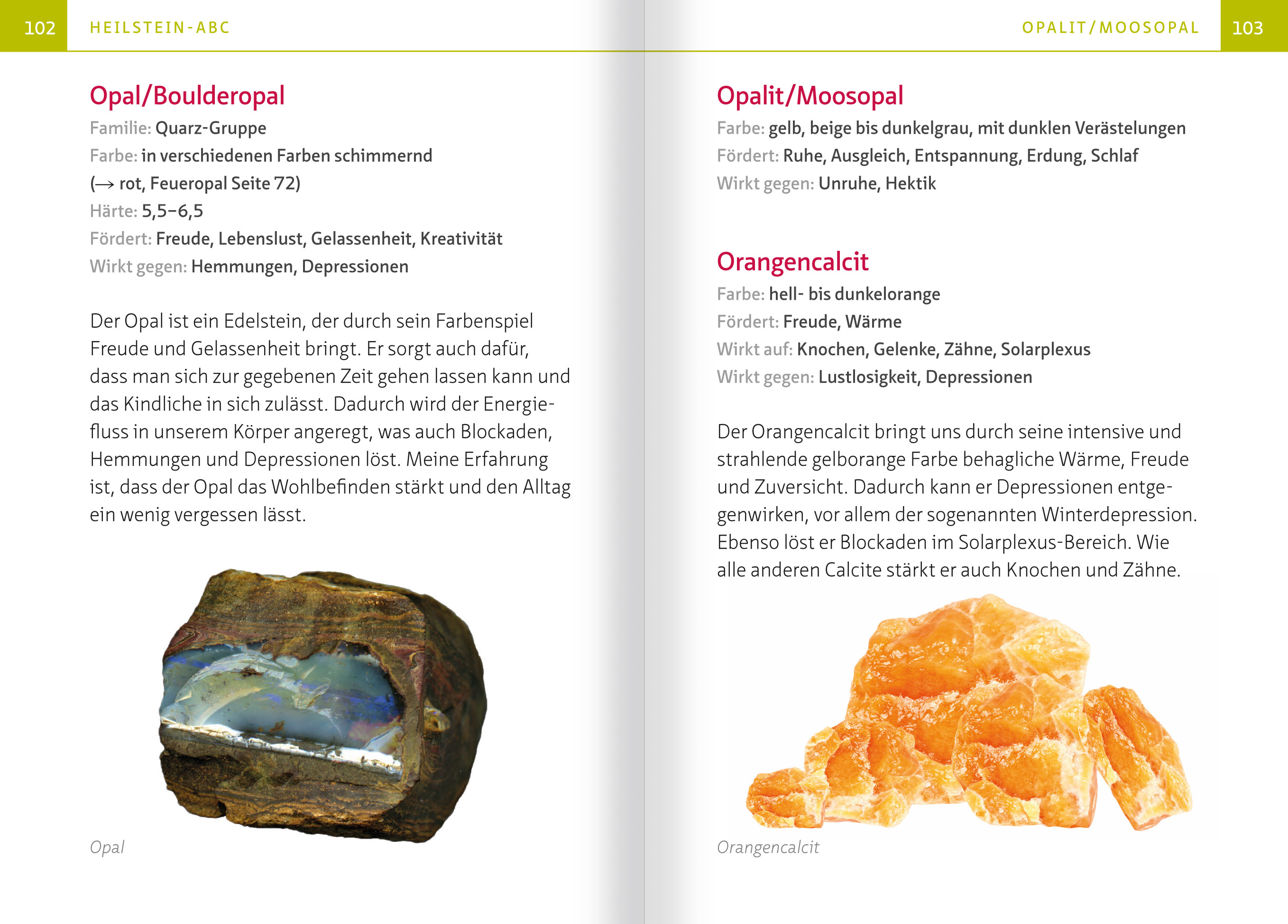 9783863747848_innenansicht_05.jpg