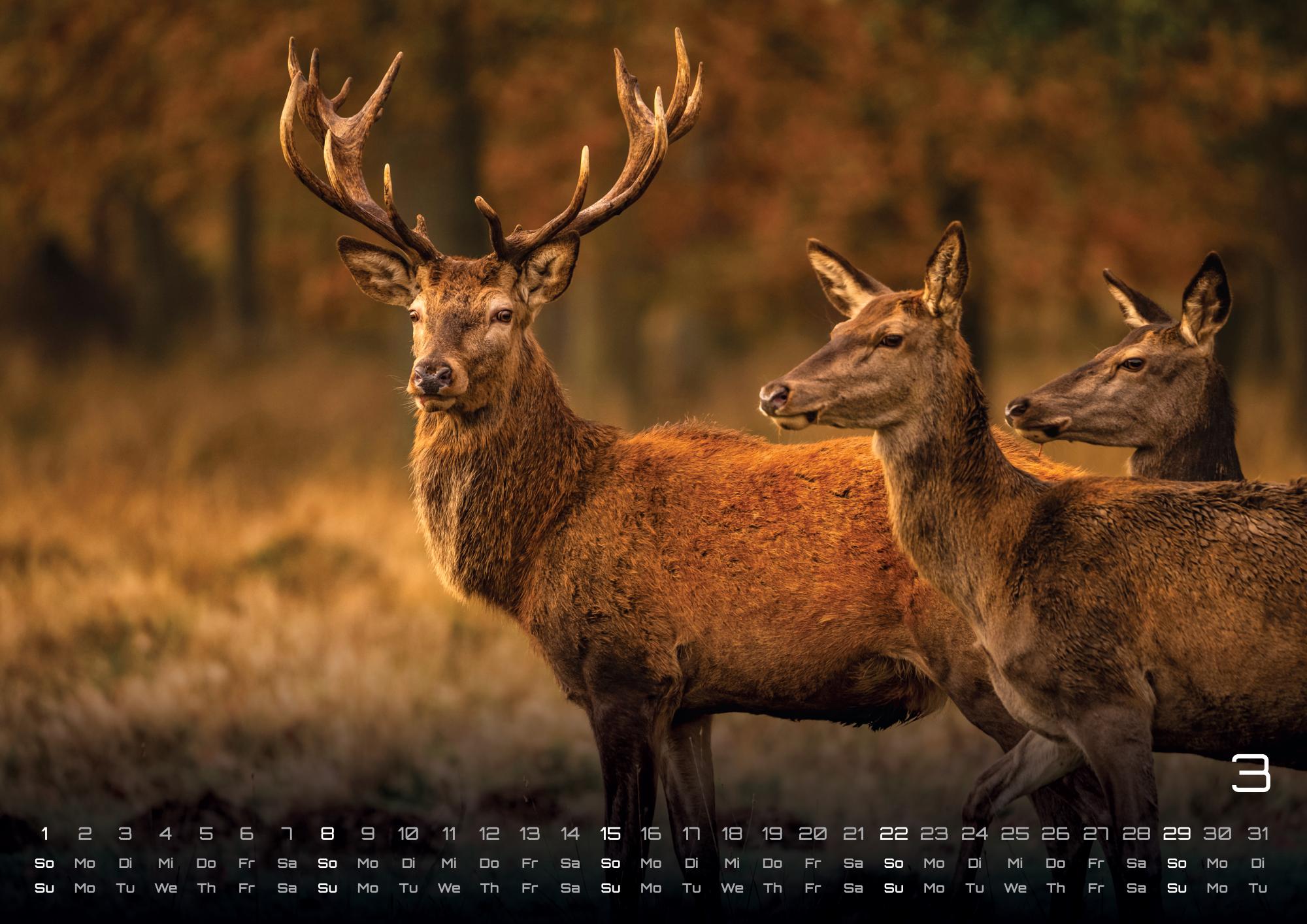 9783986736033_innenansicht_03 9783986736033_innenansicht_03.jpg