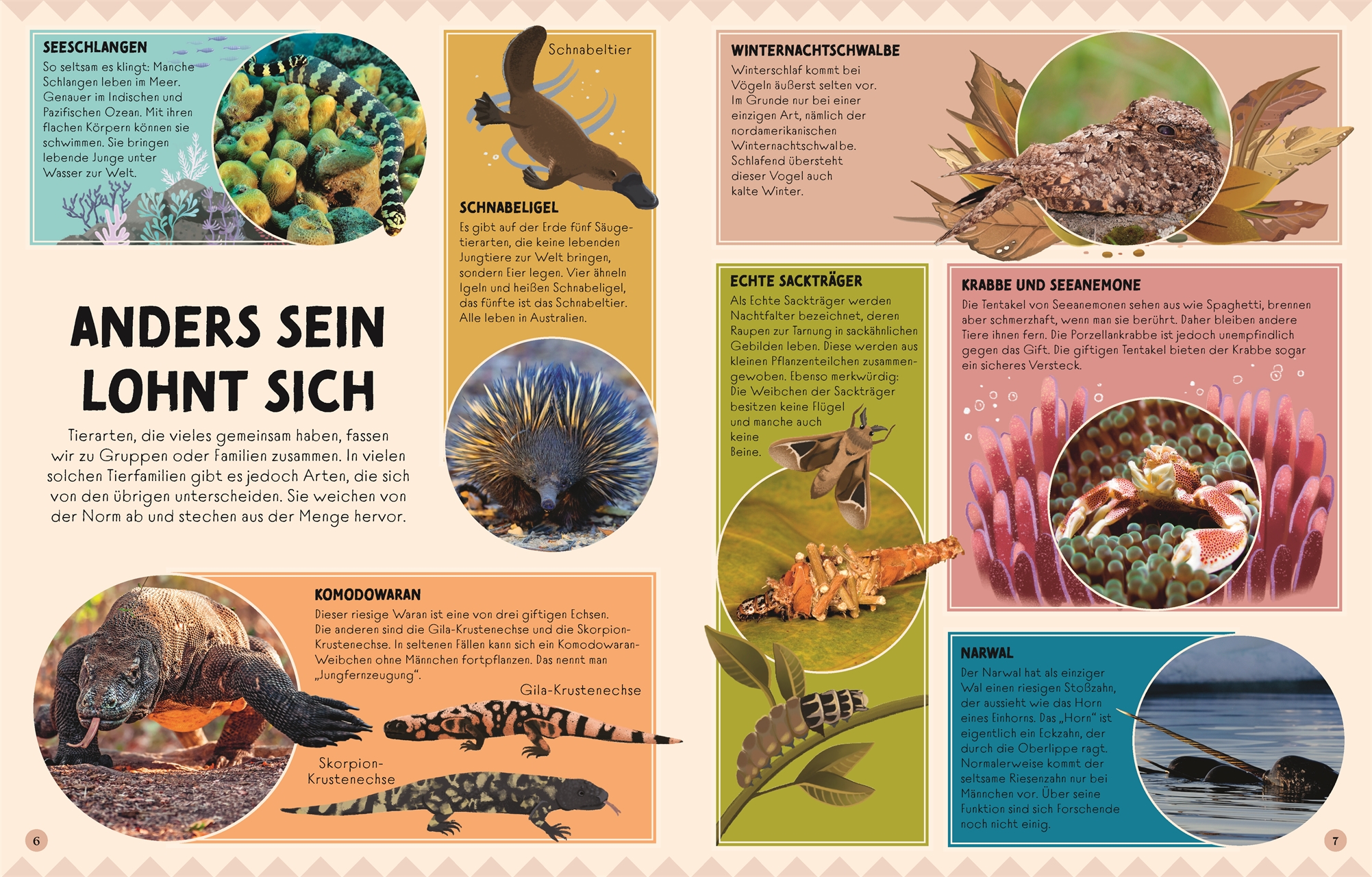 9783831050574_innenansicht_02.jpg