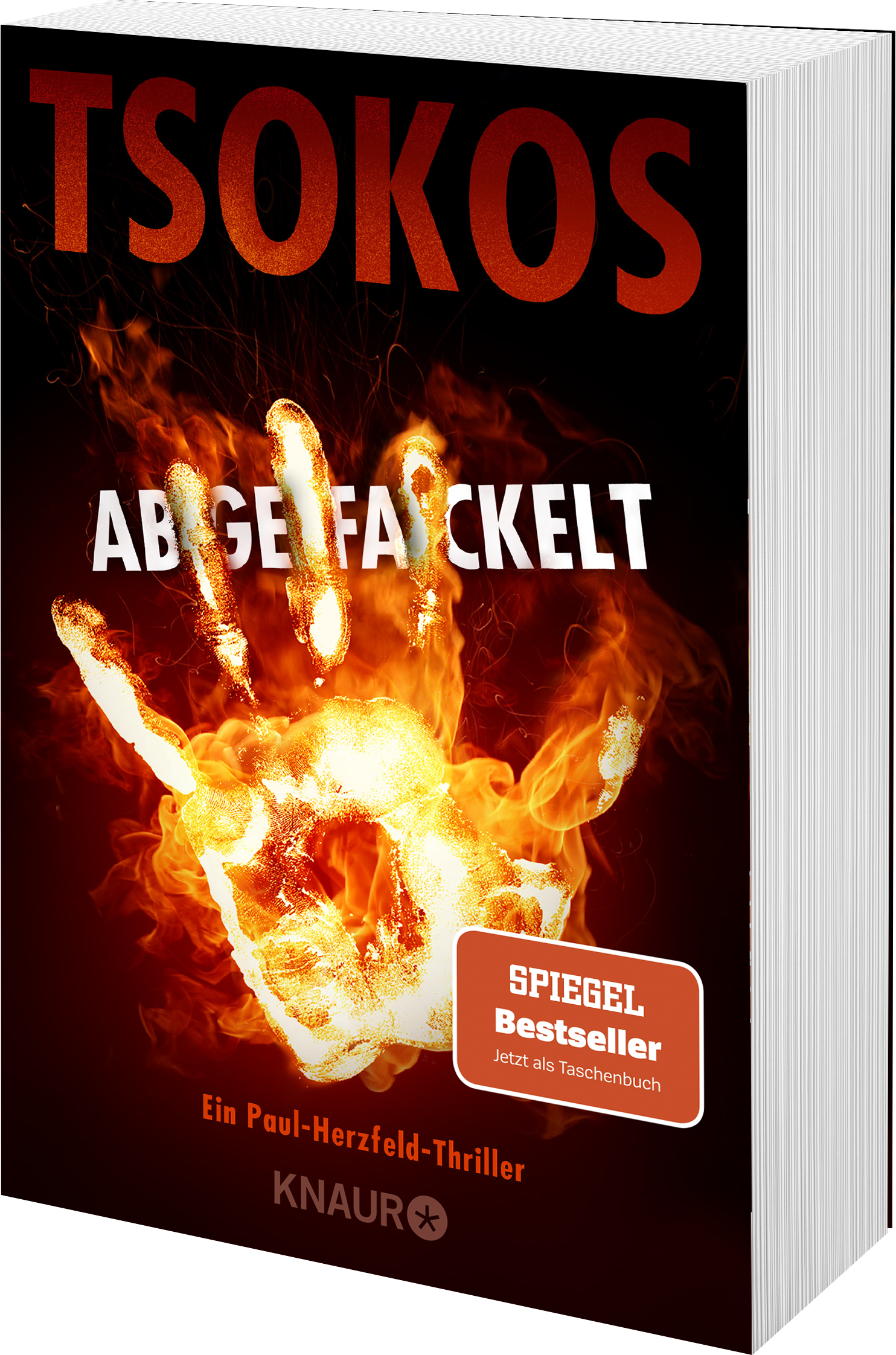 9783426524411_weiterecover_01 9783426524411_weiterecover_01.png