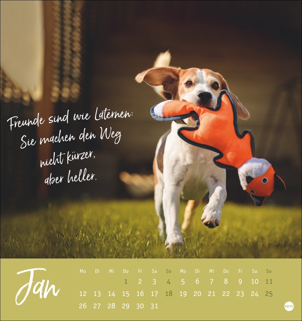 9783756411566_innenansicht_01.jpg
