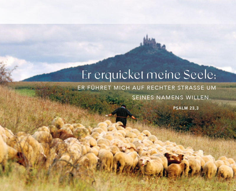 9783866037908_innenansicht_06.jpg