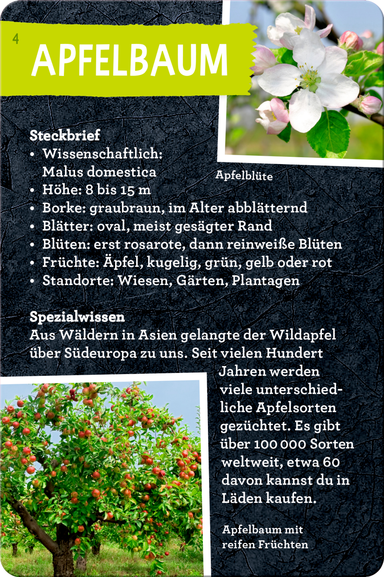 9783649648086_innenansicht_01.jpg